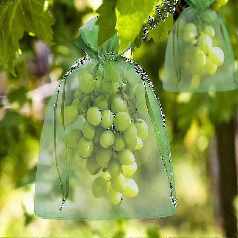 100 Pack Fruit Protection Bags, 30x20cm & 23x17cm, Drawstring Organza for Grape Storage, Wasp and Bird Barrier