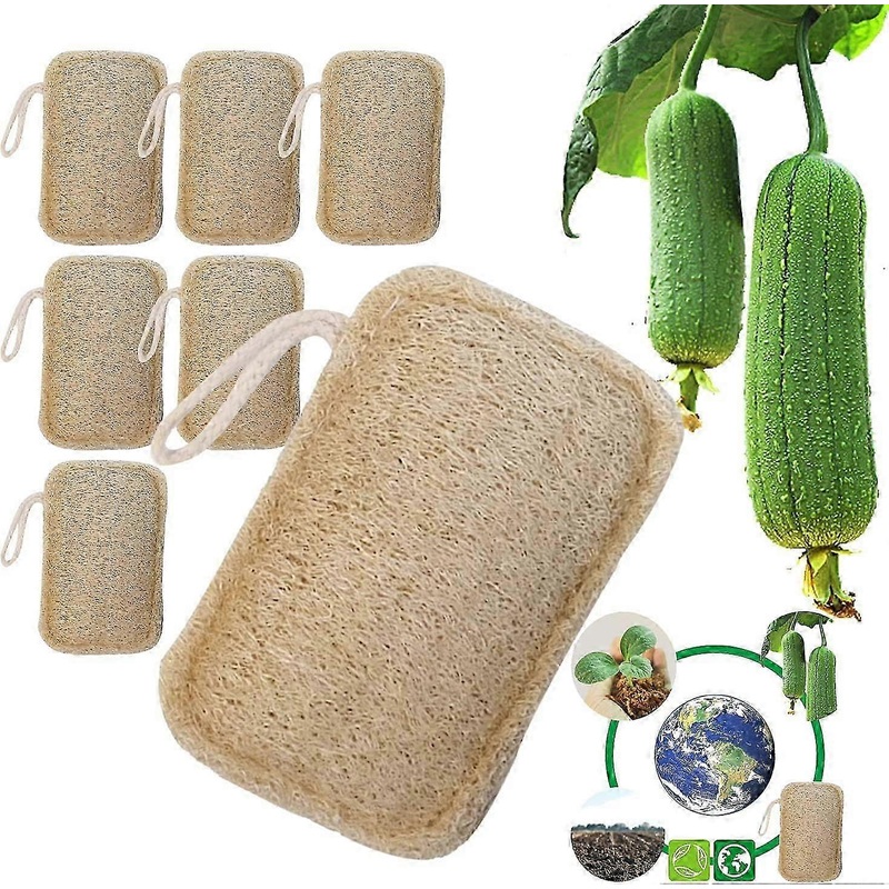 6 Pack 100% Organic Loofah Sponge Biodegradable Compostable Natural Eco-Friendly for Bath Shower Kitchen Camping