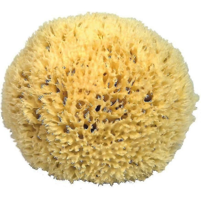 P110 Natural sponge from the Mediterranean sea 11 cm