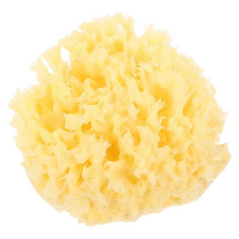 Shower Accessories Oval Bath Sponge Women Exfoliant Sponge For Shower Gentle On Skin 1Set