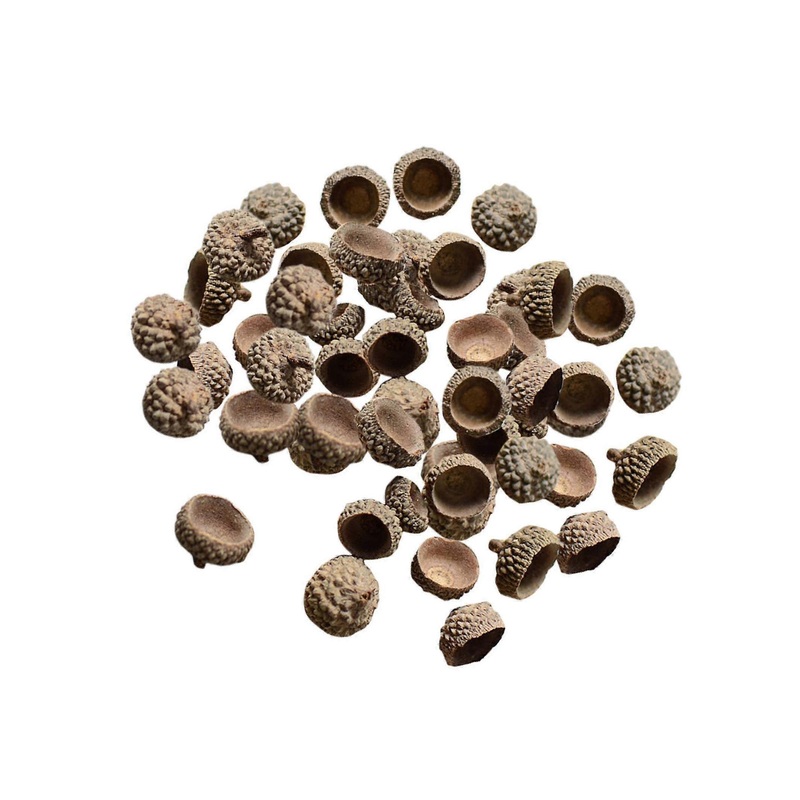 100Pcs Beautiful Natural Acorns Real Acorns Caps Home DIY Christmas Natural for Acorn
