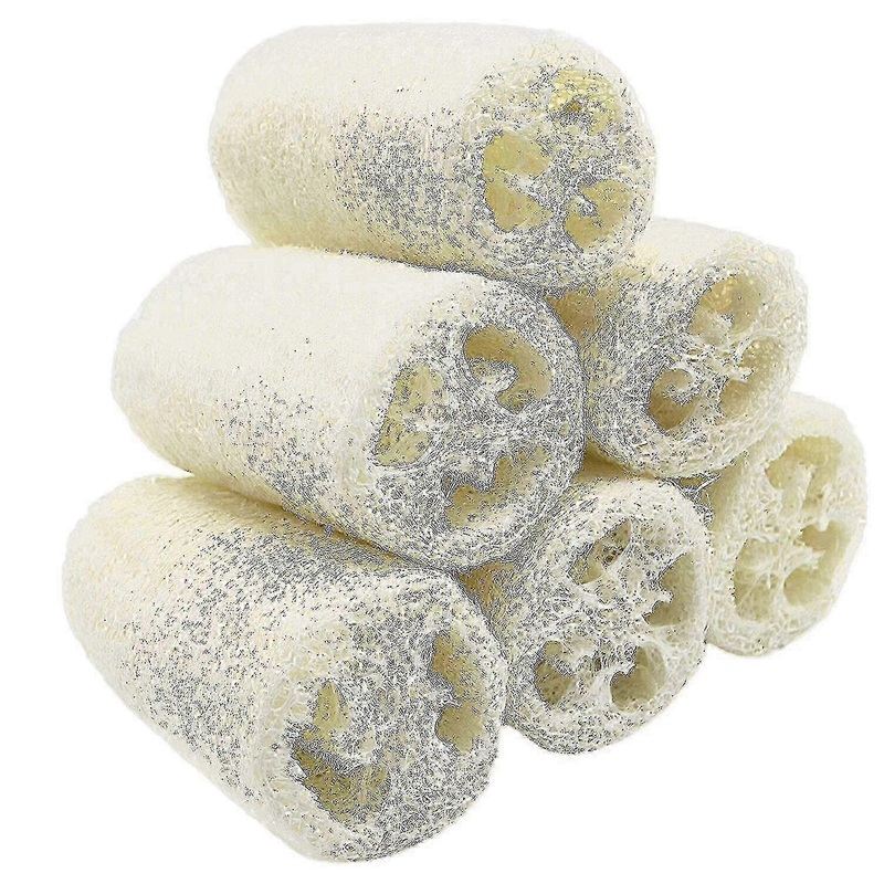 Organic Loofah Sponge 6 Pack – 100% Natural Bath & Body Exfoliator for Spa, Shower & Sensitive Skin (4-5 Inches)