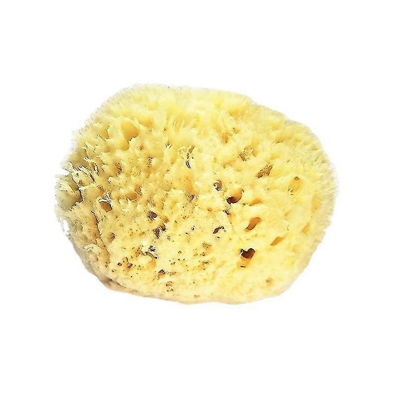 Sea Wool Sponge 3.0-3.5″ (large) By Bath & Shower Express Natural Renewable Resource!