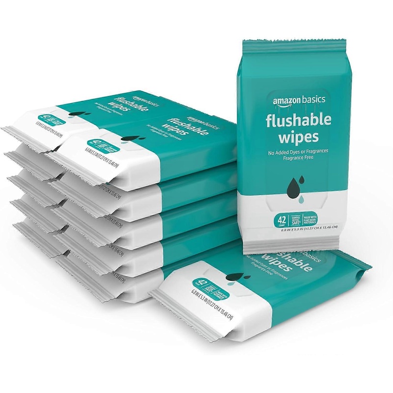 Flushable Adult Toilet Wipes, Fragrance Free, 504 Count (12 Packs of 42)